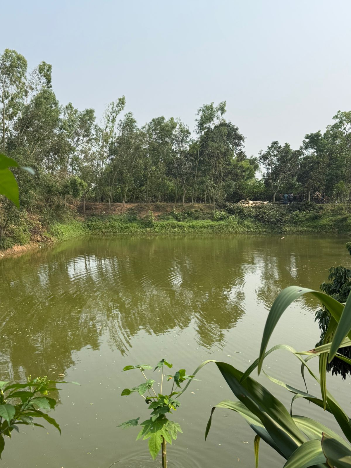 High-tech Fishery Unit